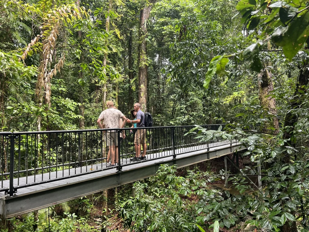 daintree-rainforest-suspension-bridge-walk Walkers pausing on the suspension bridge over a rainforest creek in the Daintree