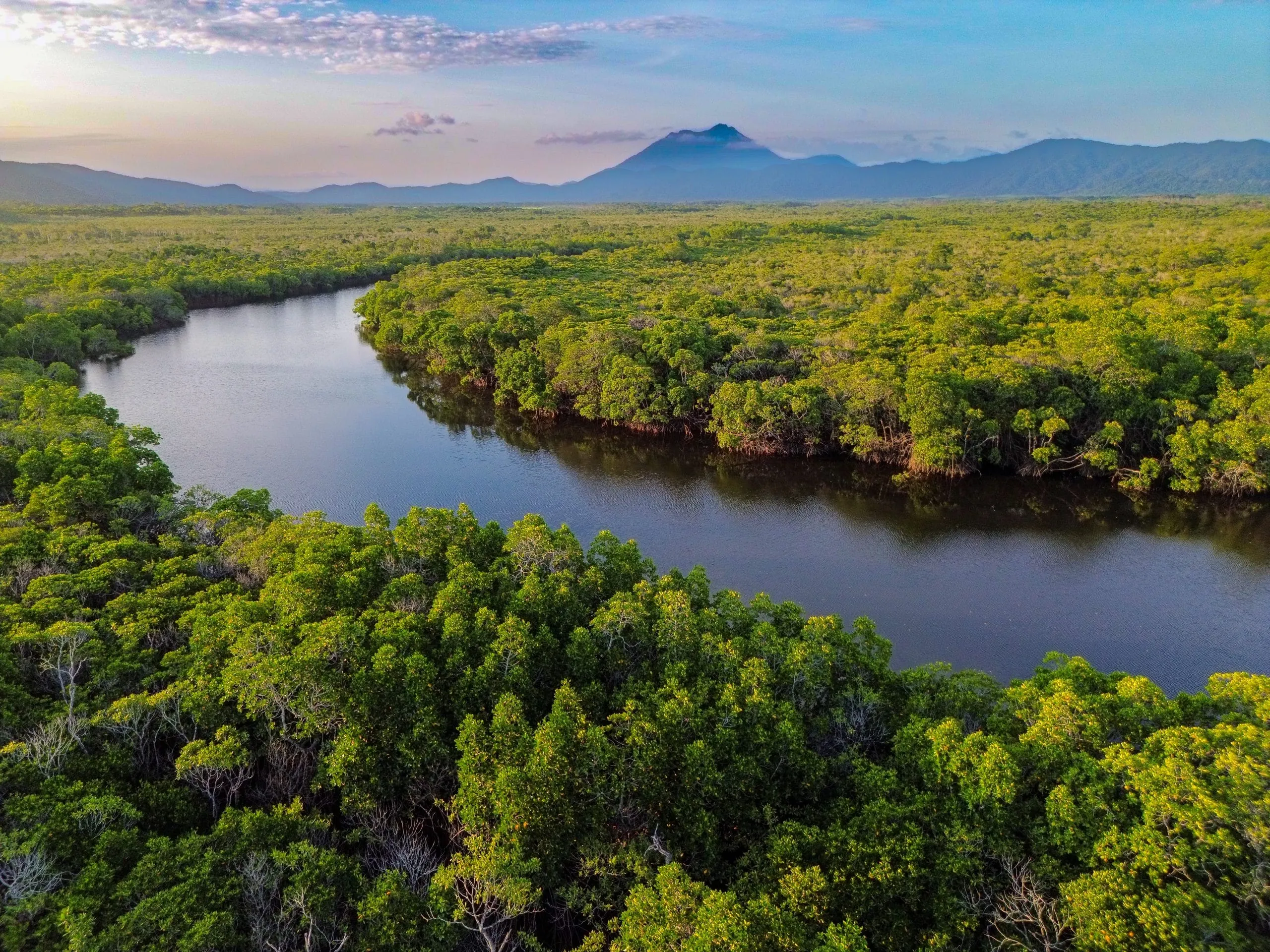 The Daintree River winding through mangrove forest at dawn, coastal ranges on the horizon