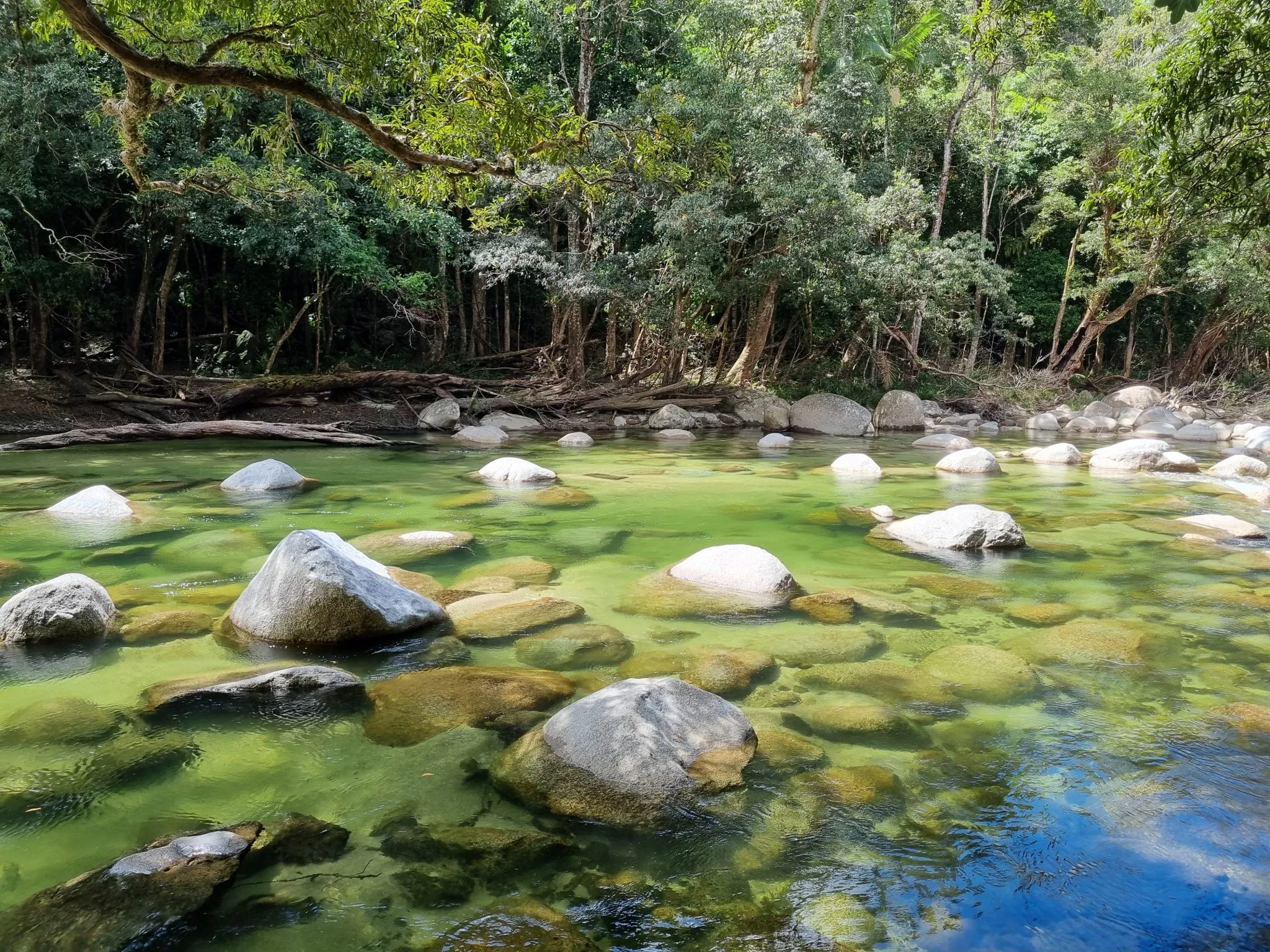Granite boulders in the clear green water of Mossman Gorge, rainforest along the bank